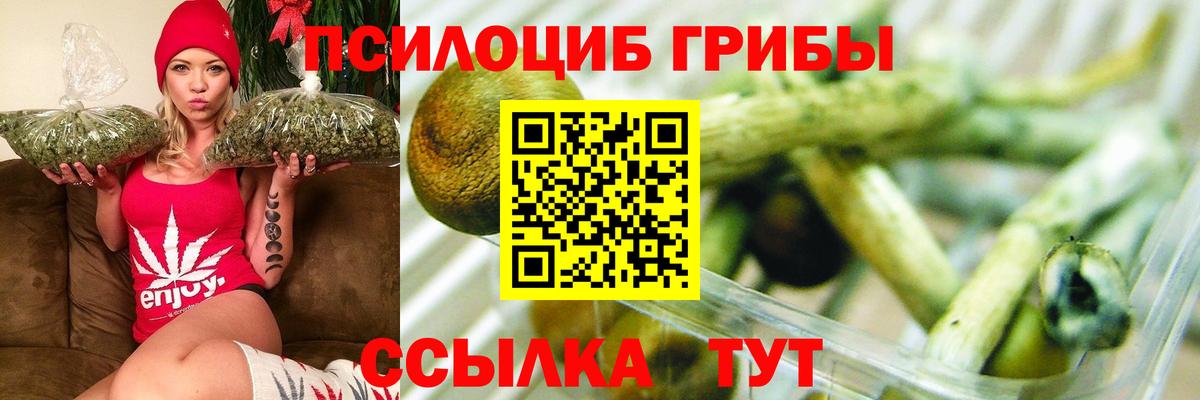 Псилоцибиновые грибы прущие грибы  Вход с VPN  Верхняя Пышма 